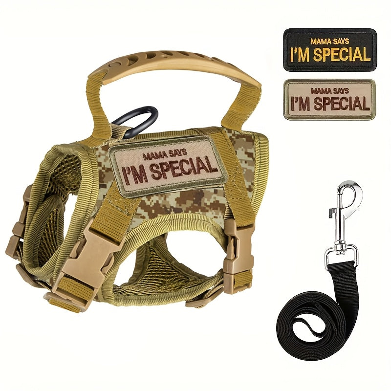 Escape-Proof Cat Harness with Leash – No-Pull Soft Breathable Mesh Vest Harness for Outdoor Cat Walking & Control, Adjustable Secure Fit for Cats of All Sizes