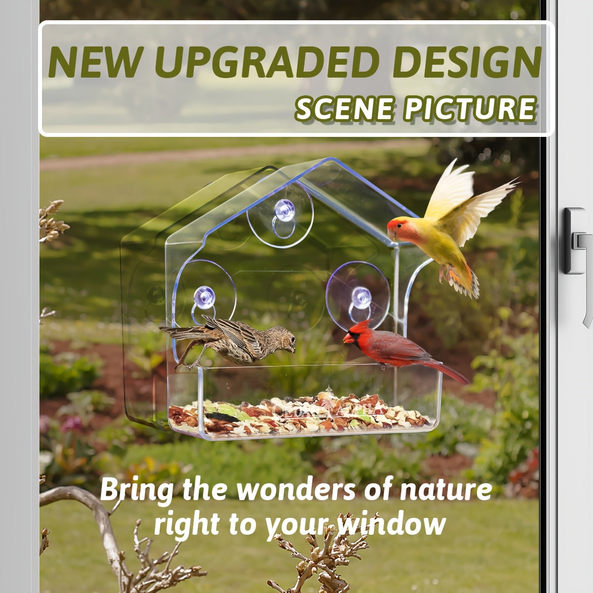 Window Bird Feeder Clear Plastic with Strong Suction Cups โ Transparent Outside Bird Feeder for Close-Up Bird Watching, No Battery Needed, Durable Window Birdhouse for Wild Birds