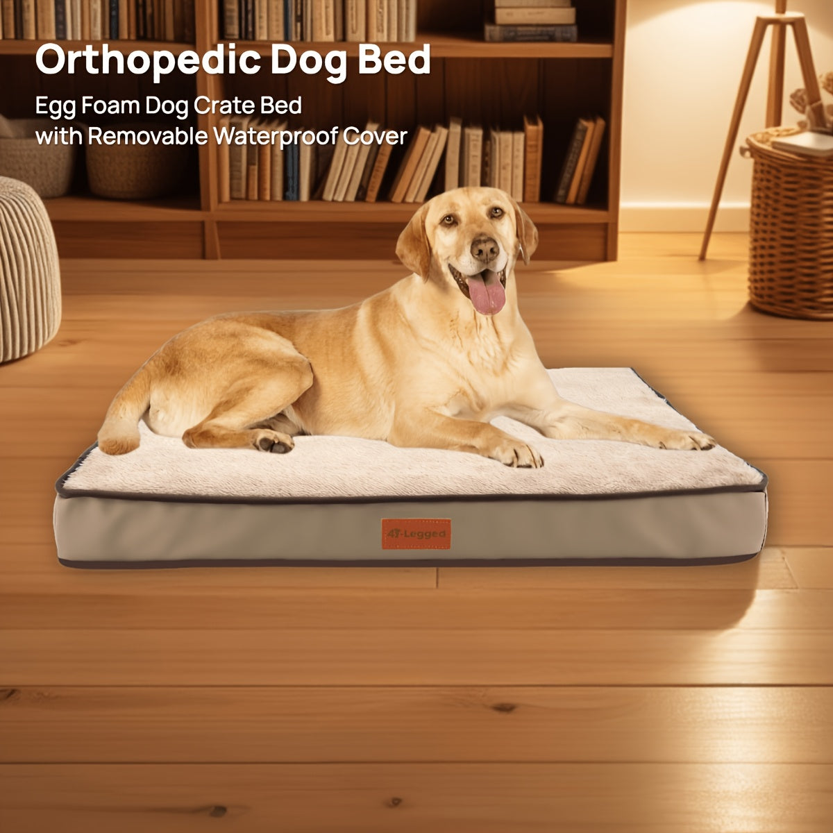 Orthopedic Memory Foam Dog Bed for Medium Dogs – Thickened Pet Mattress with Non-Slip Moisture-Proof Bottom, Removable Washable Zipper Cover, Joint Support Dog Bed for Indoor Use