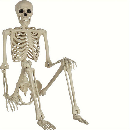 5.4Ft Life-Size Adjustable Human Adult Skeleton - Plastic Bones, Movable Joints - Halloween Decoration & Haunted House Prop