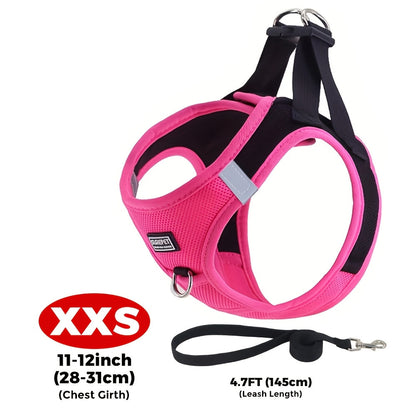 Small Dog Harness and Leash Combo Set - Soft Mesh Step-In Chest Harness for Small Dogs, Comfortable Breathable Pet Vest Harness with Matching Leash for Walking, Jogging & Training
