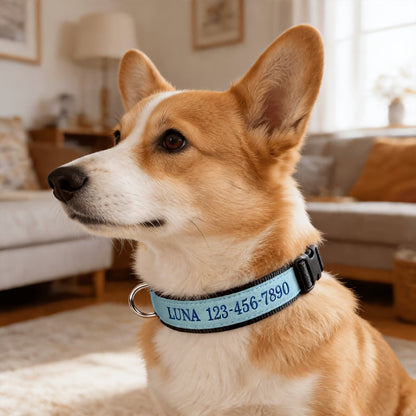 Personalized Glow in the Dark Dog Collar – Custom Embroidered Name & Phone Number, Luminous Night Safety Collar for Small Medium & Large Dogs, Anti-Lost Design in XS/S/M/L, 5 Colors Available
