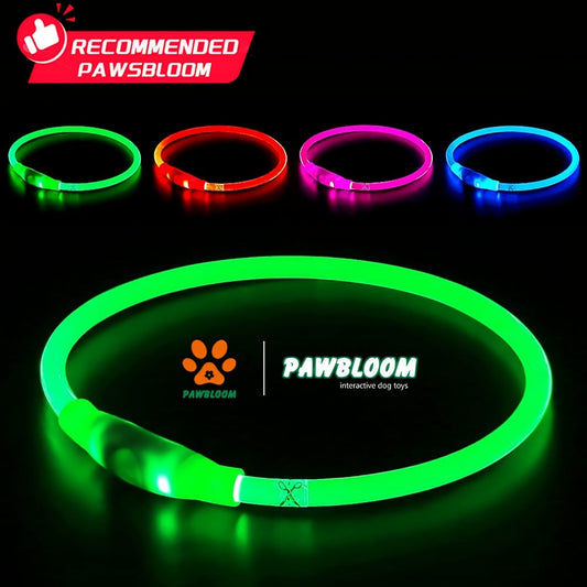 LED Light Up Dog Collar, USB Type-C Rechargeable Flashing Glow Dog Safety Collar for Night Walking, Waterproof Neon Pet Collar for Small Medium Large Dogs, 5 Colors