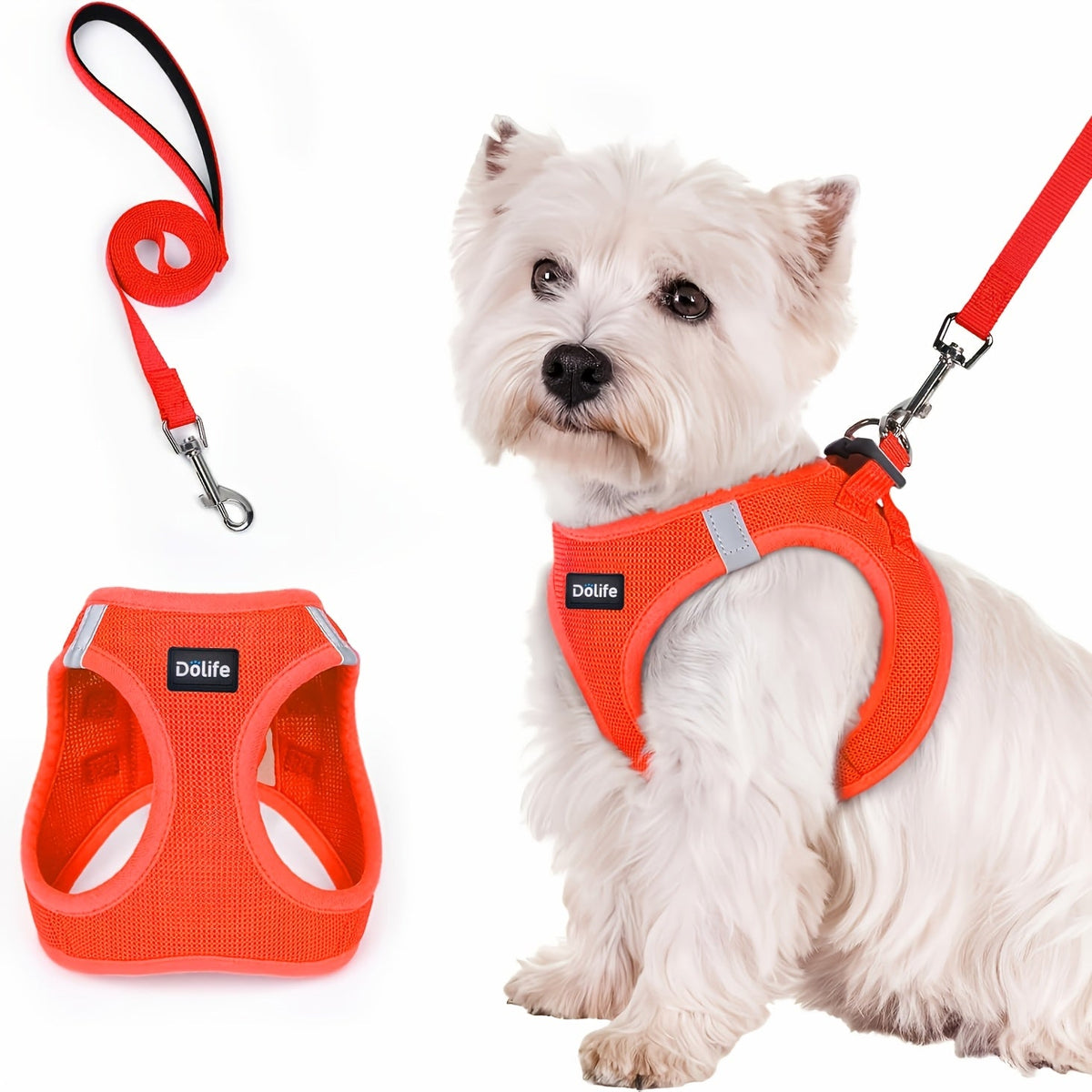 Step-In Dog Harness and Leash Set for Small Dogs & Puppies - Breathable Mesh Reflective Soft Lightweight No-Pull Pet Vest Harness with Matching Leash XS S M L XL