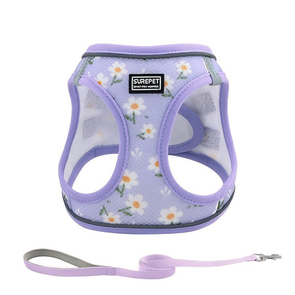No-Pull Dog Harness and Leash Set for Small to Medium Dogs - Soft Mesh Reflective Adjustable Puppy Vest Harness for Walking Running and Training, Escape-Proof Pet Harness