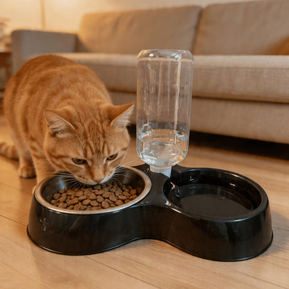 Tilted Anti-Slip Pet Feeder and Waterer Bowl Set - Ergonomic Tilt Design for Cats & Dogs, No Battery Required, Promotes Healthy Eating Posture, Easy-Clean Feeding & Drinking Station for Indoor Pets