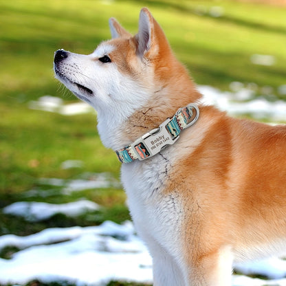 Custom Engraved & Printed Nylon Dog Collar with Name & Phone ID – Personalized Pet Collar for Puppies, Cats & Small to Large Dogs, Sizes S M L, 7 Vibrant Colors