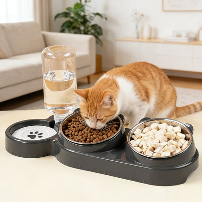 Tilted Anti-Slip Pet Feeder and Waterer Bowl Set - Ergonomic Tilt Design for Cats & Dogs, No Battery Required, Promotes Healthy Eating Posture, Easy-Clean Feeding & Drinking Station for Indoor Pets