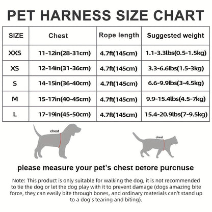 Small Dog Harness and Leash Combo Set - Soft Mesh Step-In Chest Harness for Small Dogs, Comfortable Breathable Pet Vest Harness with Matching Leash for Walking, Jogging & Training