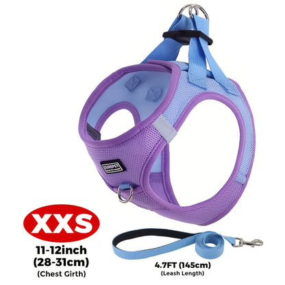 Small Dog Harness and Leash Combo Set - Soft Mesh Step-In Chest Harness for Small Dogs, Comfortable Breathable Pet Vest Harness with Matching Leash for Walking, Jogging & Training