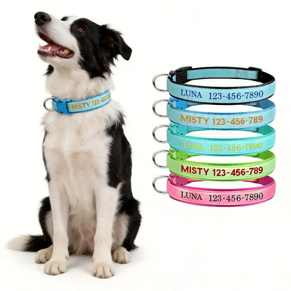 Personalized Glow in the Dark Dog Collar – Custom Embroidered Name & Phone Number, Luminous Night Safety Collar for Small Medium & Large Dogs, Anti-Lost Design in XS/S/M/L, 5 Colors Available