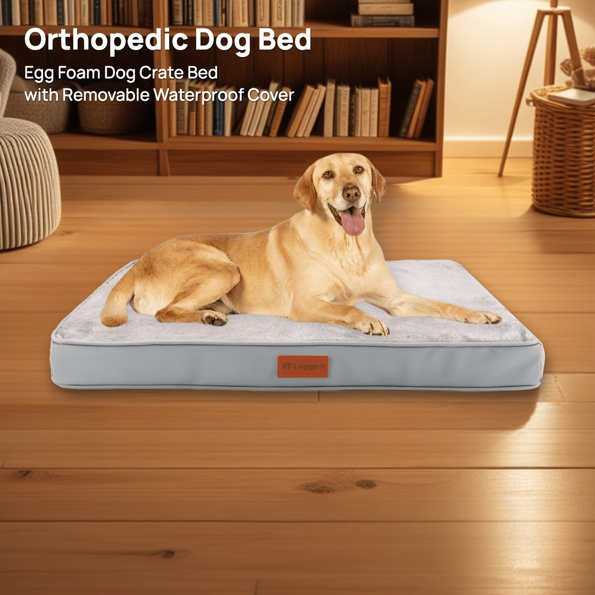 Orthopedic Memory Foam Dog Bed for Medium Dogs – Thickened Pet Mattress with Non-Slip Moisture-Proof Bottom, Removable Washable Zipper Cover, Joint Support Dog Bed for Indoor Use