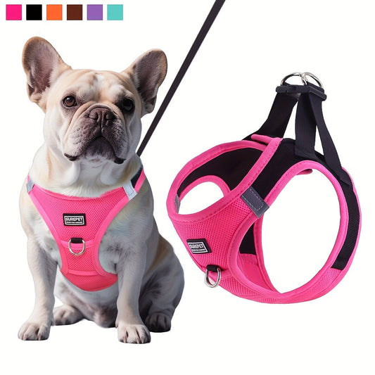 Small Dog Harness and Leash Combo Set - Soft Mesh Step-In Chest Harness for Small Dogs, Comfortable Breathable Pet Vest Harness with Matching Leash for Walking, Jogging & Training