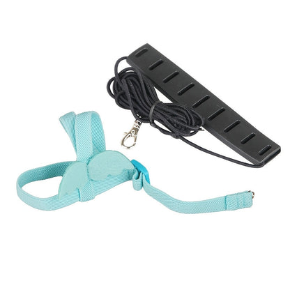 Adjustable Bird Harness & Leash for Parrots - Escape-Proof Soft Training Strap for Conures, Cockatiels, Lovebirds, Budgies & Small Parrots - 2M Long, Outdoor Walking Bird Leash, Pink & Blue