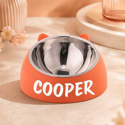 Personalized Stainless Steel Tilted Pet Bowl for Cats and Dogs Custom Name Ergonomic Neck Protection Food Water Bowl Great Gift for Pets Small Medium Large